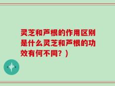 灵芝和芦根的作用区别是什么灵芝和芦根的功效有何不同？)