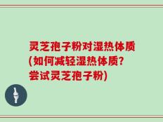 灵芝孢子粉对湿热体质(如何减轻湿热体质？尝试灵芝孢子粉)