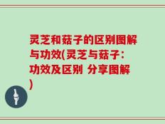 灵芝和菇子的区别图解与功效(灵芝与菇子：功效及区别 分享图解)