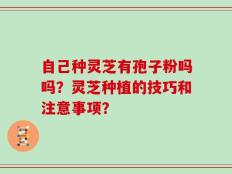自己种灵芝有孢子粉吗吗？灵芝种植的技巧和注意事项？