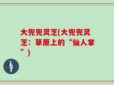 大兜兜灵芝(大兜兜灵芝：草原上的“仙人掌”)