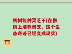 柳树能种灵芝不(在柳树上培养灵芝，这个生态奇迹已经变成现实)