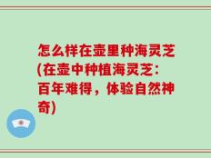 怎么样在壶里种海灵芝(在壶中种植海灵芝：百年难得，体验自然神奇)