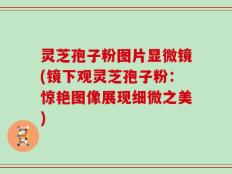 灵芝孢子粉图片显微镜(镜下观灵芝孢子粉：惊艳图像展现细微之美)