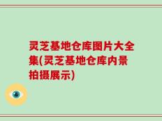 灵芝基地仓库图片大全集(灵芝基地仓库内景拍摄展示)