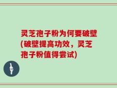 灵芝孢子粉为何要破壁(破壁提高功效，灵芝孢子粉值得尝试)