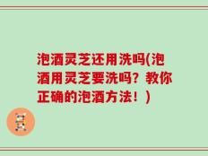 泡酒灵芝还用洗吗(泡酒用灵芝要洗吗？教你正确的泡酒方法！)
