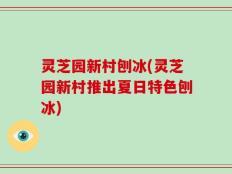 灵芝园新村刨冰(灵芝园新村推出夏日特色刨冰)