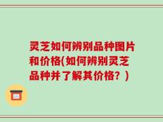 灵芝如何辨别品种图片和价格(如何辨别灵芝品种并了解其价格？)