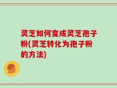 灵芝如何变成灵芝孢子粉(灵芝转化为孢子粉的方法)