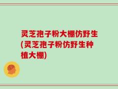 灵芝孢子粉大棚仿野生(灵芝孢子粉仿野生种植大棚)