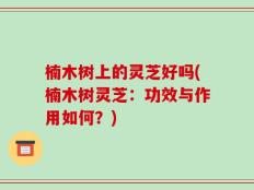 楠木树上的灵芝好吗(楠木树灵芝：功效与作用如何？)