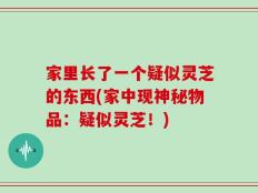 家里长了一个疑似灵芝的东西(家中现神秘物品：疑似灵芝！)