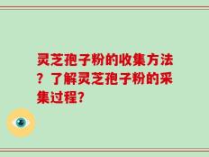 灵芝孢子粉的收集方法？了解灵芝孢子粉的采集过程？