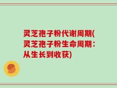 灵芝孢子粉代谢周期(灵芝孢子粉生命周期：从生长到收获)