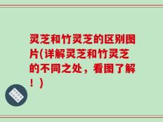 灵芝和竹灵芝的区别图片(详解灵芝和竹灵芝的不同之处，看图了解！)