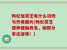 枸杞加灵芝有什么功效与作用图片(枸杞灵芝提神健脑养生，拍照分享还返现！)