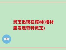 灵芝出现在棺材(棺材里发现奇特灵芝)