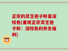 正宗的灵芝孢子粉是深棕色(重现正宗灵芝孢子粉：深棕色的养生福利)