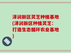 泽润新区灵芝种植基地(泽润新区种植灵芝：打造生态循环农业基地)