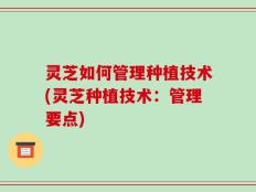 灵芝如何管理种植技术(灵芝种植技术：管理要点)