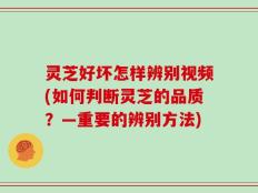 灵芝好坏怎样辨别视频(如何判断灵芝的品质？—重要的辨别方法)