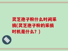 灵芝孢子粉什么时间采摘(灵芝孢子粉的采摘时机是什么？)