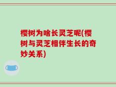 樱树为啥长灵芝呢(樱树与灵芝相伴生长的奇妙关系)