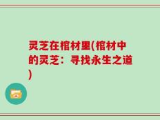 灵芝在棺材里(棺材中的灵芝：寻找永生之道)