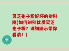 灵芝孢子粉好坏的辨别图(如何辨别优质灵芝孢子粉？详细图示带你看清！)