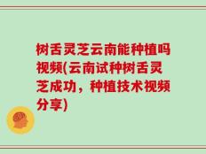 树舌灵芝云南能种植吗视频(云南试种树舌灵芝成功，种植技术视频分享)
