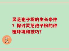 灵芝孢子粉的生长条件？探讨灵芝孢子粉的种植环境和技巧？