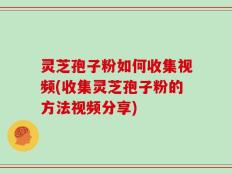 灵芝孢子粉如何收集视频(收集灵芝孢子粉的方法视频分享)