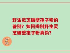 野生灵芝破壁孢子粉的鉴别？如何辨别野生灵芝破壁孢子粉真伪？