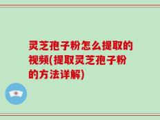 灵芝孢子粉怎么提取的视频(提取灵芝孢子粉的方法详解)