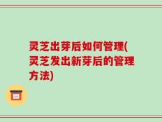 灵芝出芽后如何管理(灵芝发出新芽后的管理方法)