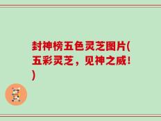封神榜五色灵芝图片(五彩灵芝，见神之威！)