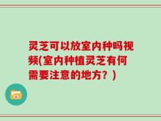 灵芝可以放室内种吗视频(室内种植灵芝有何需要注意的地方？)