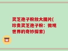 灵芝孢子粉放大图片(珍贵灵芝孢子粉：微观世界的奇妙探索)