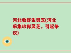 河北收野生灵芝(河北采集珍稀灵芝，引起争议)