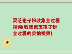 灵芝孢子粉收集全过程视频(收集灵芝孢子粉全过程的实拍视频)
