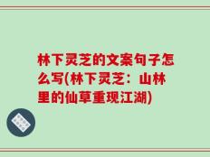 林下灵芝的文案句子怎么写(林下灵芝：山林里的仙草重现江湖)