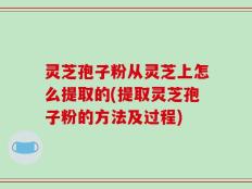 灵芝孢子粉从灵芝上怎么提取的(提取灵芝孢子粉的方法及过程)