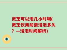 灵芝可以泡几小时喝(灵芝饮用前需浸泡多久？—浸泡时间解析)
