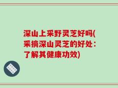 深山上采野灵芝好吗(采摘深山灵芝的好处：了解其健康功效)