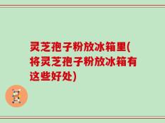 灵芝孢子粉放冰箱里(将灵芝孢子粉放冰箱有这些好处)