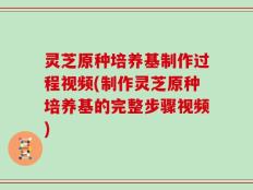 灵芝原种培养基制作过程视频(制作灵芝原种培养基的完整步骤视频)
