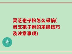 灵芝孢子粉怎么采摘(灵芝孢子粉的采摘技巧及注意事项)