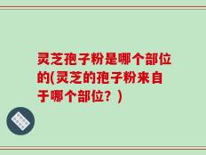 灵芝孢子粉是哪个部位的(灵芝的孢子粉来自于哪个部位？)