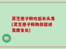灵芝孢子粉吃后长头发(灵芝孢子粉助你促进发质生长)